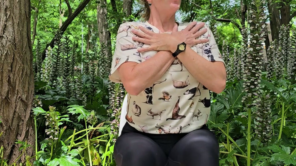 Chair Yoga Spinal Mobility